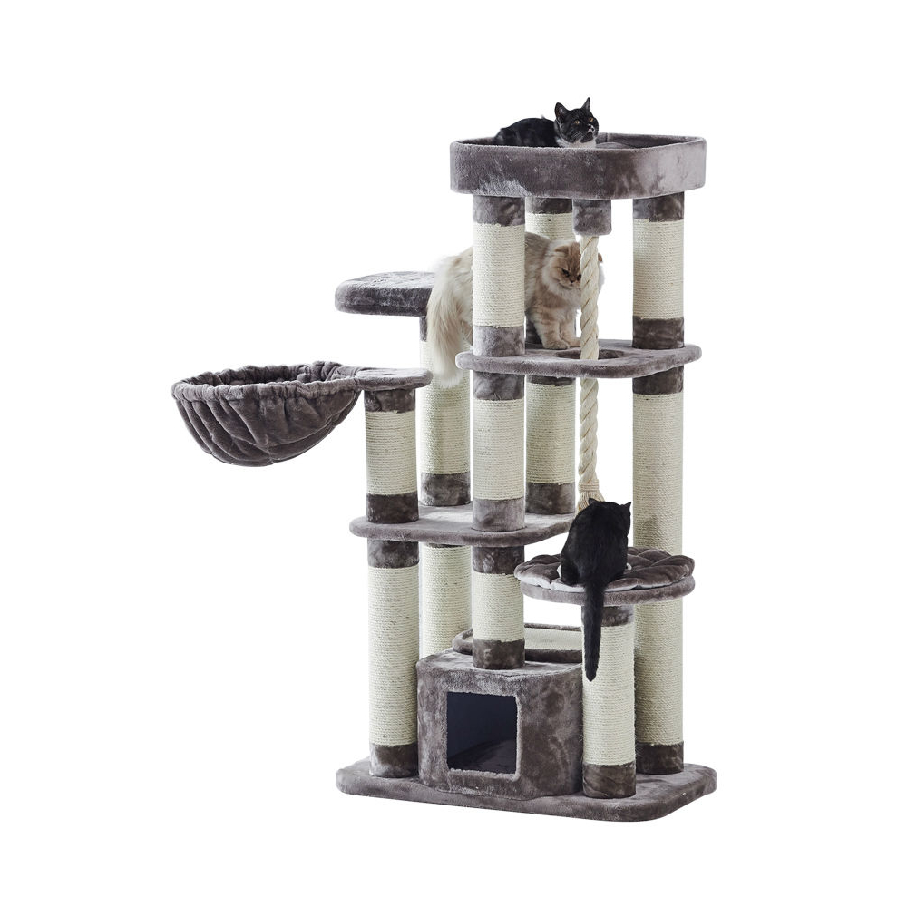 Nobby Kratzbaum Fredo Bild 5