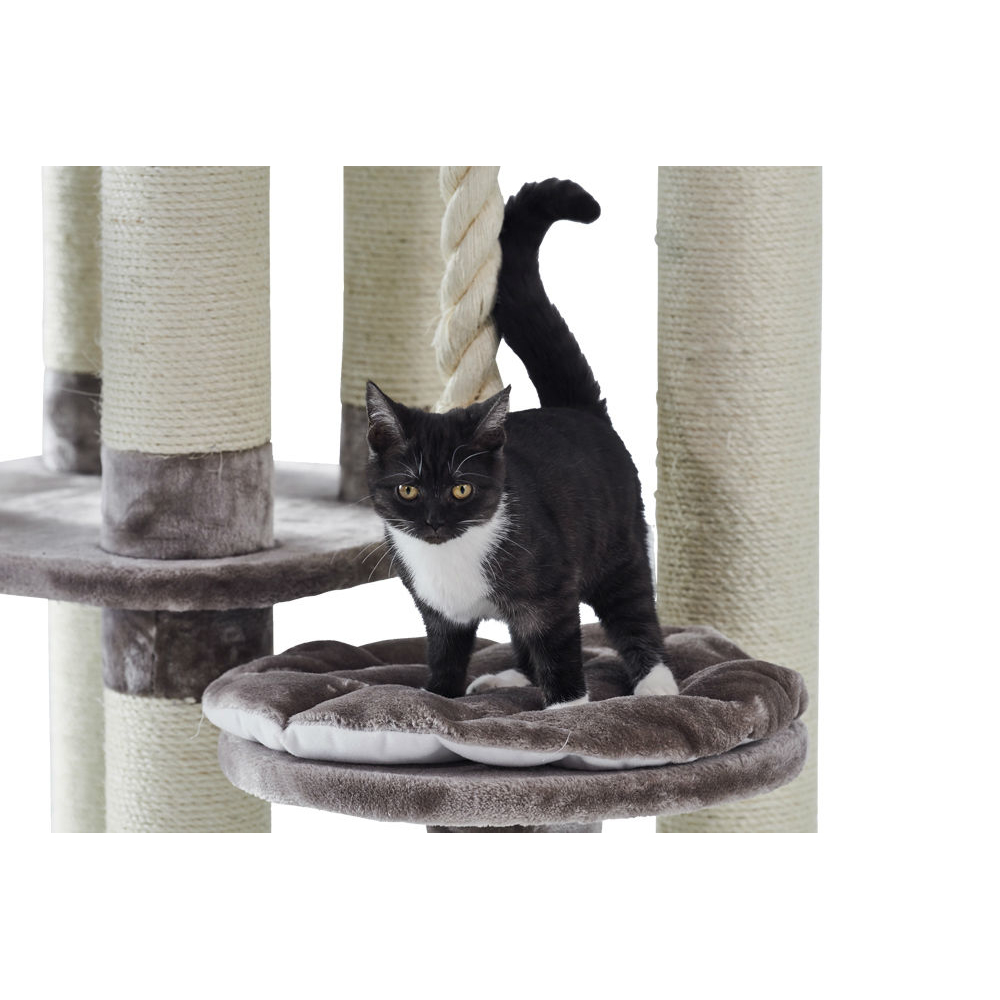 Nobby Kratzbaum Fredo Bild 7