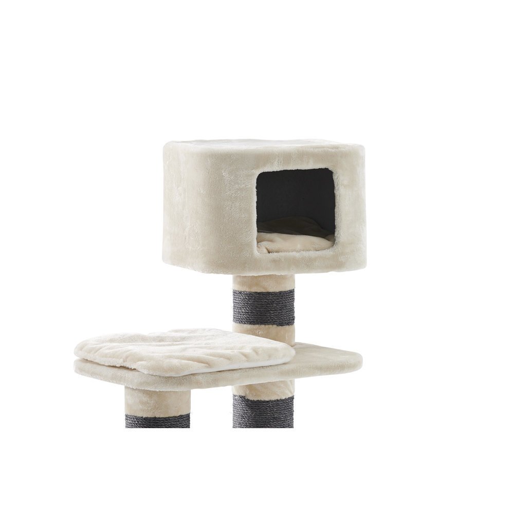 Nobby Kratzbaum Loano Bild 4