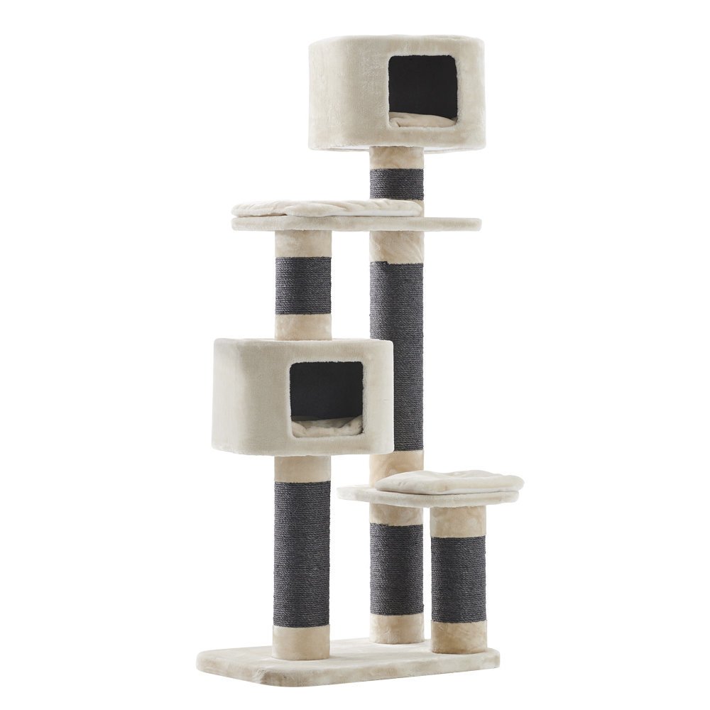 Nobby Kratzbaum Loano Bild 3