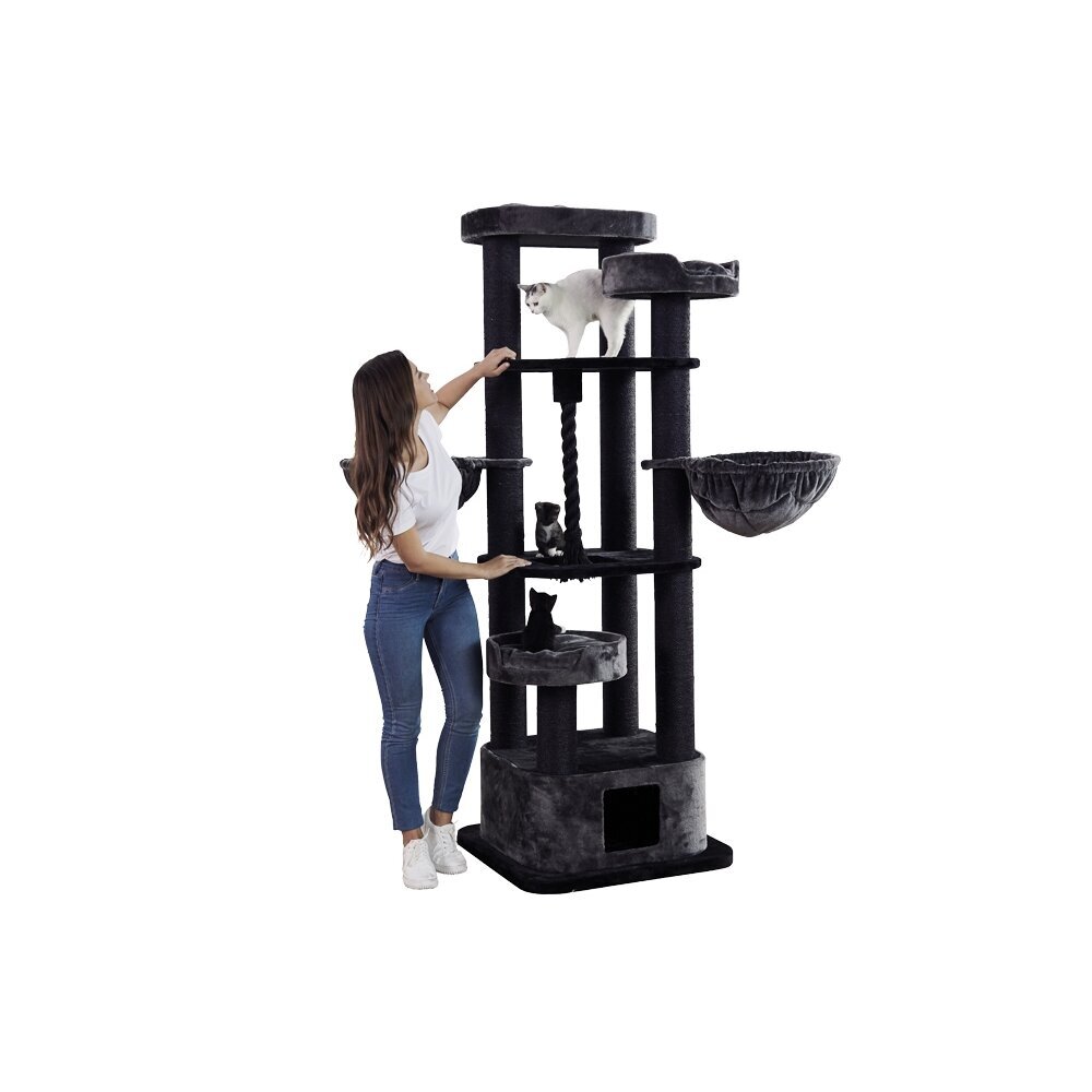 Nobby Kratzbaum MUSAN Bild 1