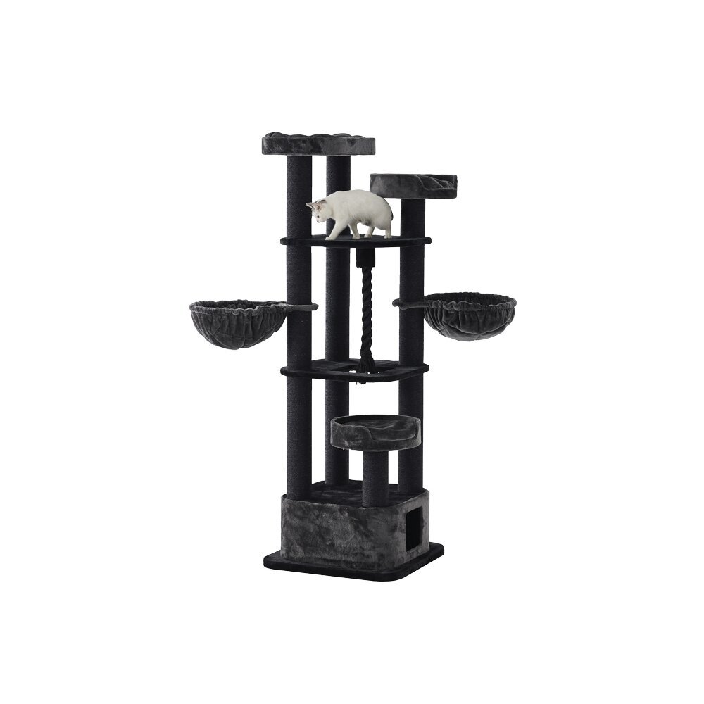 Nobby Kratzbaum MUSAN Bild 2