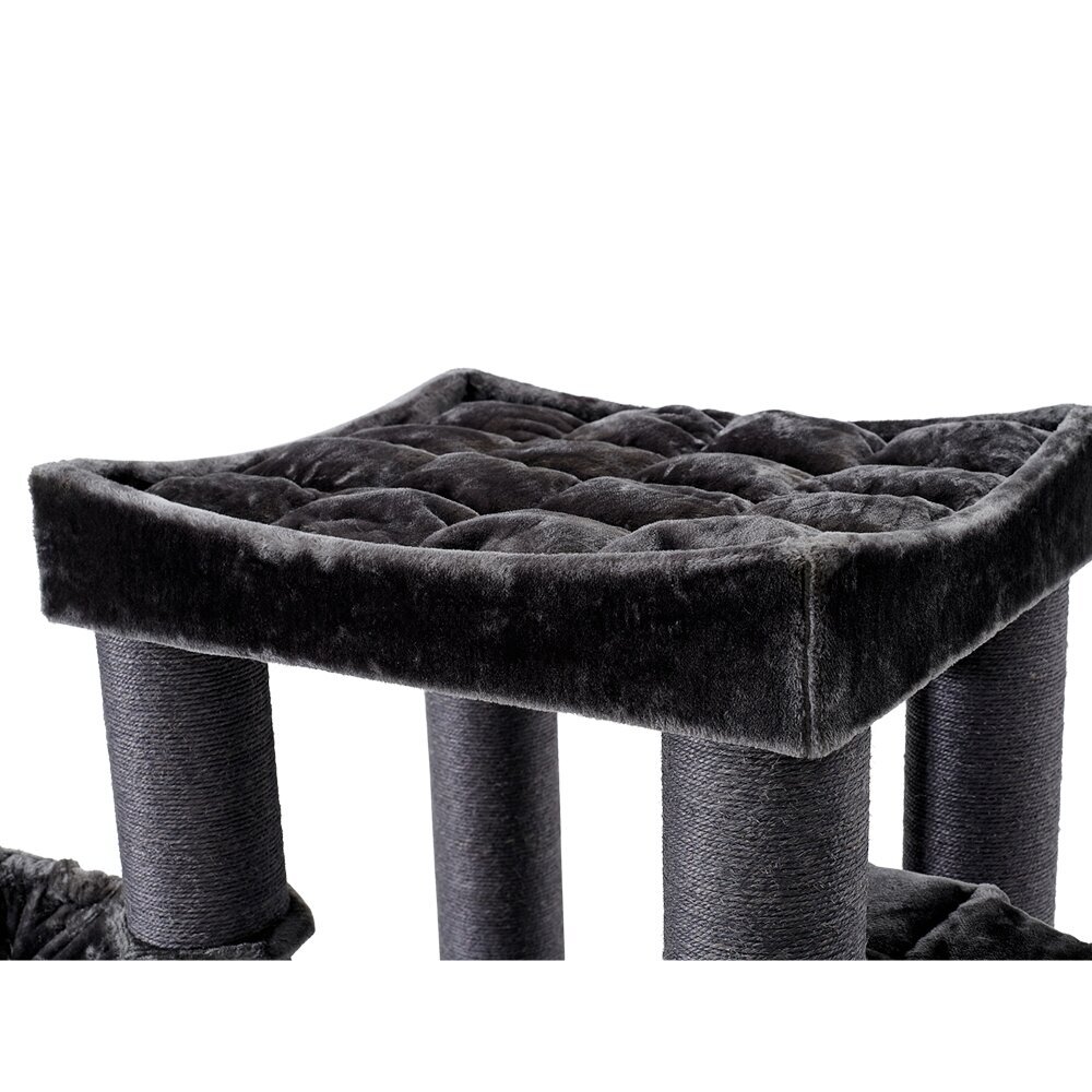 Nobby Kratzbaum RUBI groß Bild 3