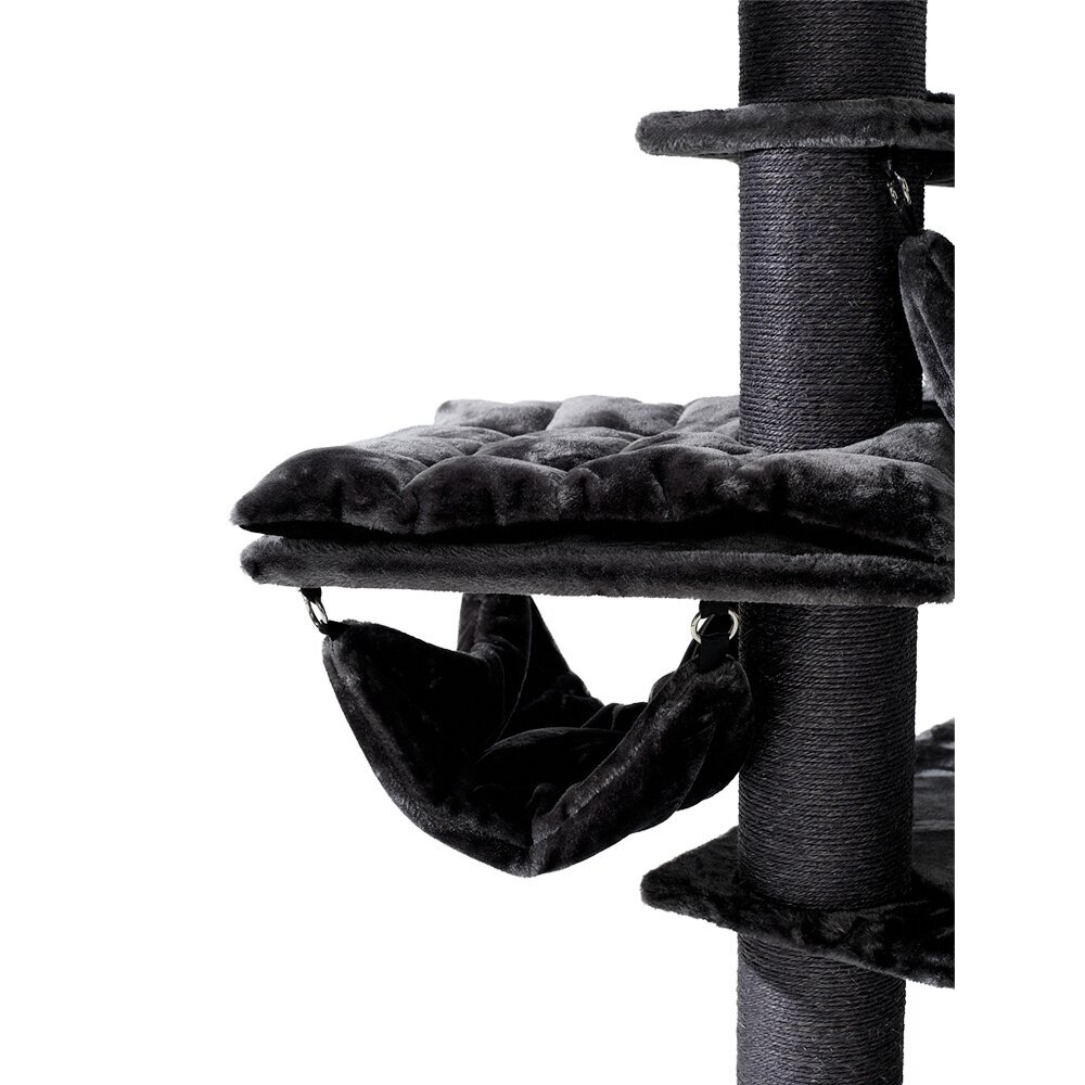 Nobby Kratzbaum RUBI groß Bild 7