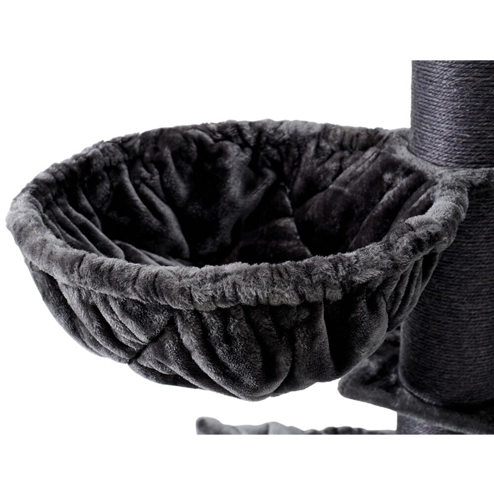 Nobby Kratzbaum RUBI groß Bild 8