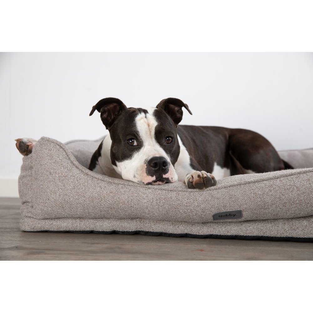 Orthopädisches Hundebett Calbu Bild 3