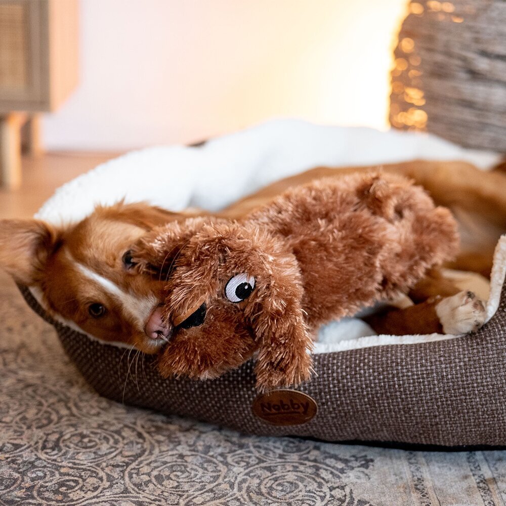 Plüsch Hund Schlappi Hundespielzeug Bild 4