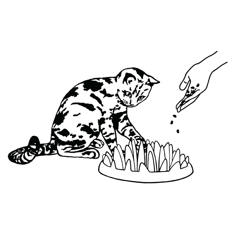 Northmate Catch für Katzen Bild 3