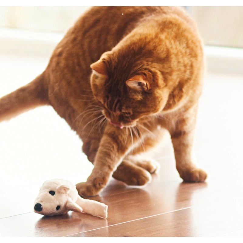 Ökologische Katzenspielmaus Baldi mit Baldrian Effekt Bild 4