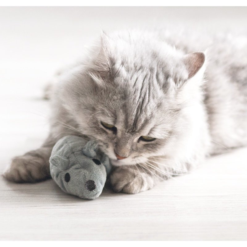 Ökologische Katzenspielmaus Baldi mit Baldrian Effekt Bild 2