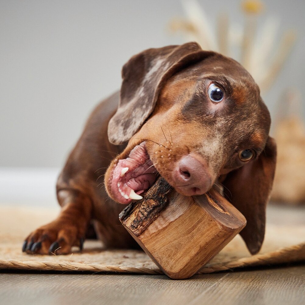 Hundekauspielzeug Root Bild 2