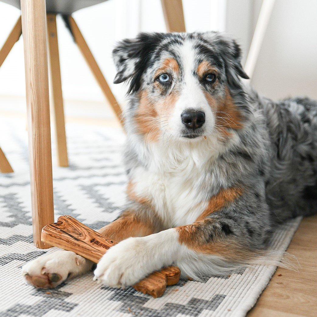 Natürlicher Kauknochen Bild 2