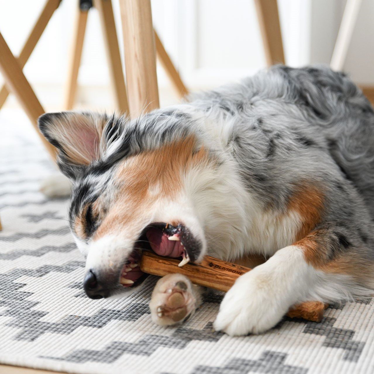 Natürlicher Kauknochen Bild 3