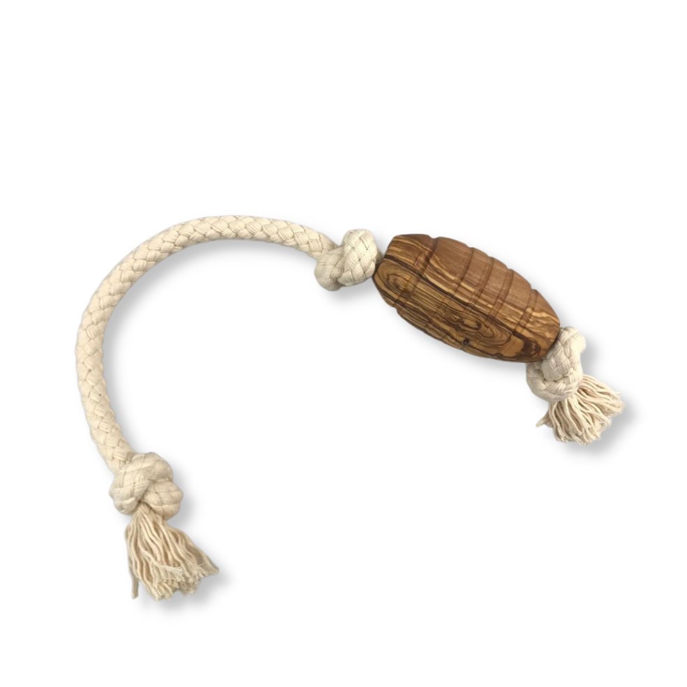 Rugby Tau-Hundespielzeug Bild 2