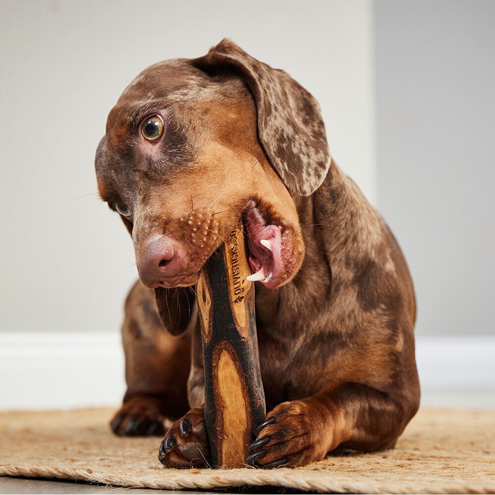 Stick-Kauspielzeug für Hunde Bild 2