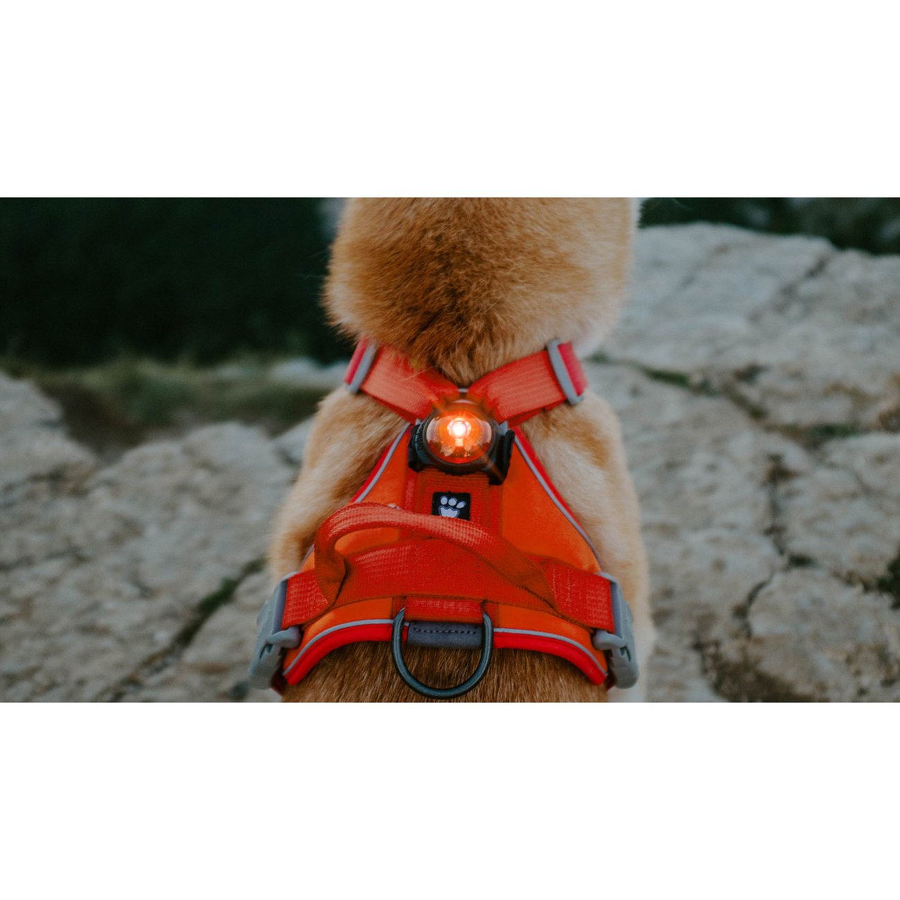 Orbiloc AMBER Safety Pack Sparset Bild 7