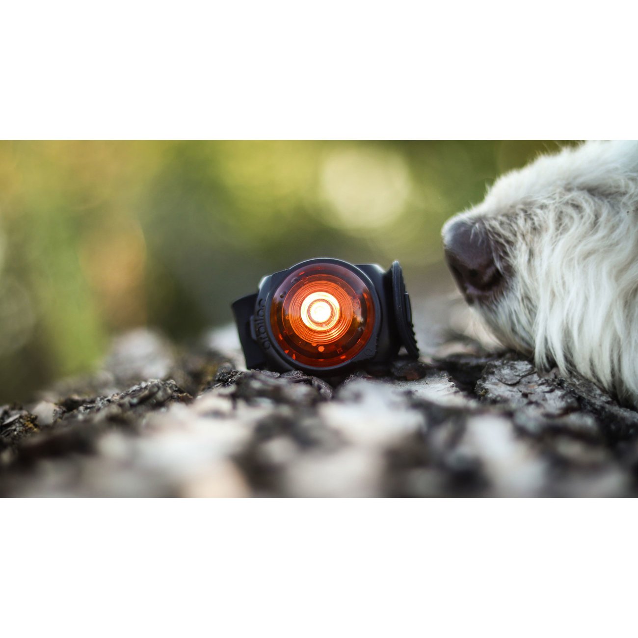 Orbiloc AMBER Safety Pack Sparset Bild 8