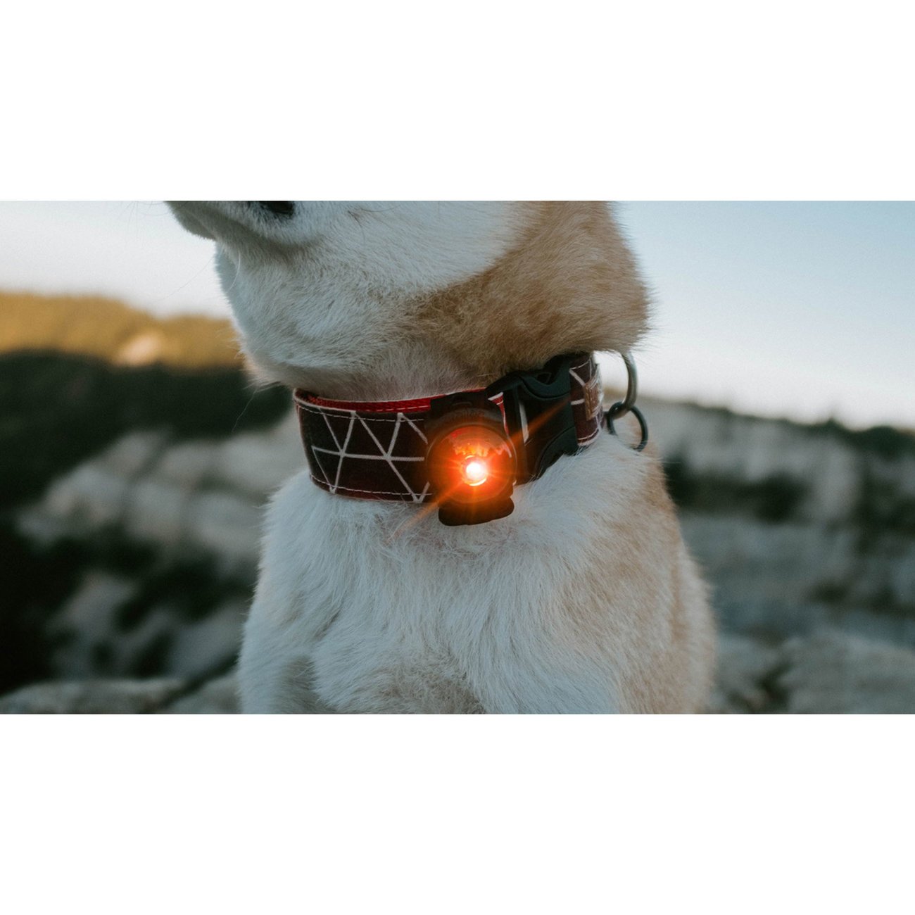 Orbiloc AMBER Safety Pack Sparset Bild 3