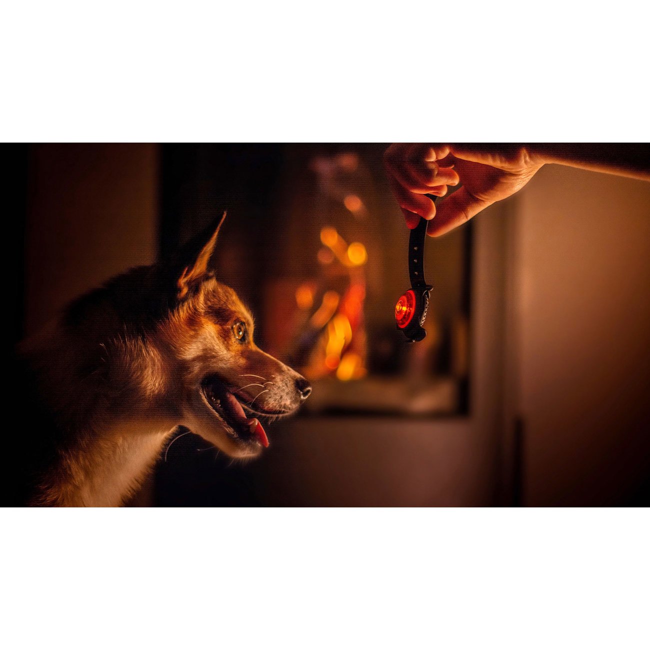 Orbiloc AMBER Safety Pack Sparset Bild 10