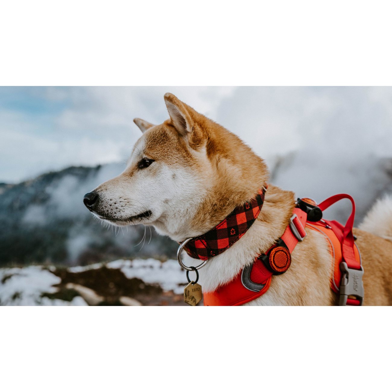 Orbiloc AMBER Safety Pack Sparset Bild 5