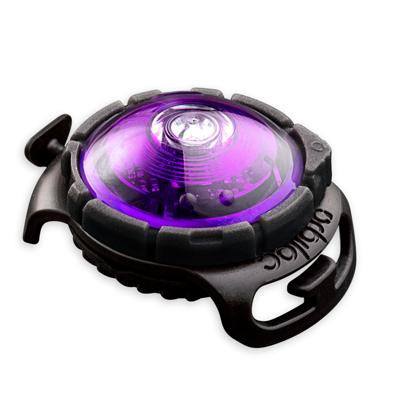 Orbiloc Dog Dual Safety Light Hundelicht Bild 14