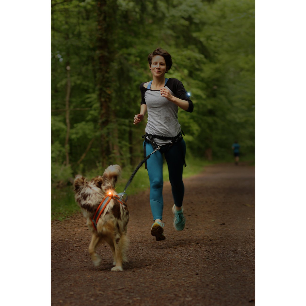 Orbiloc K9 Active Doppelpack Bild 13