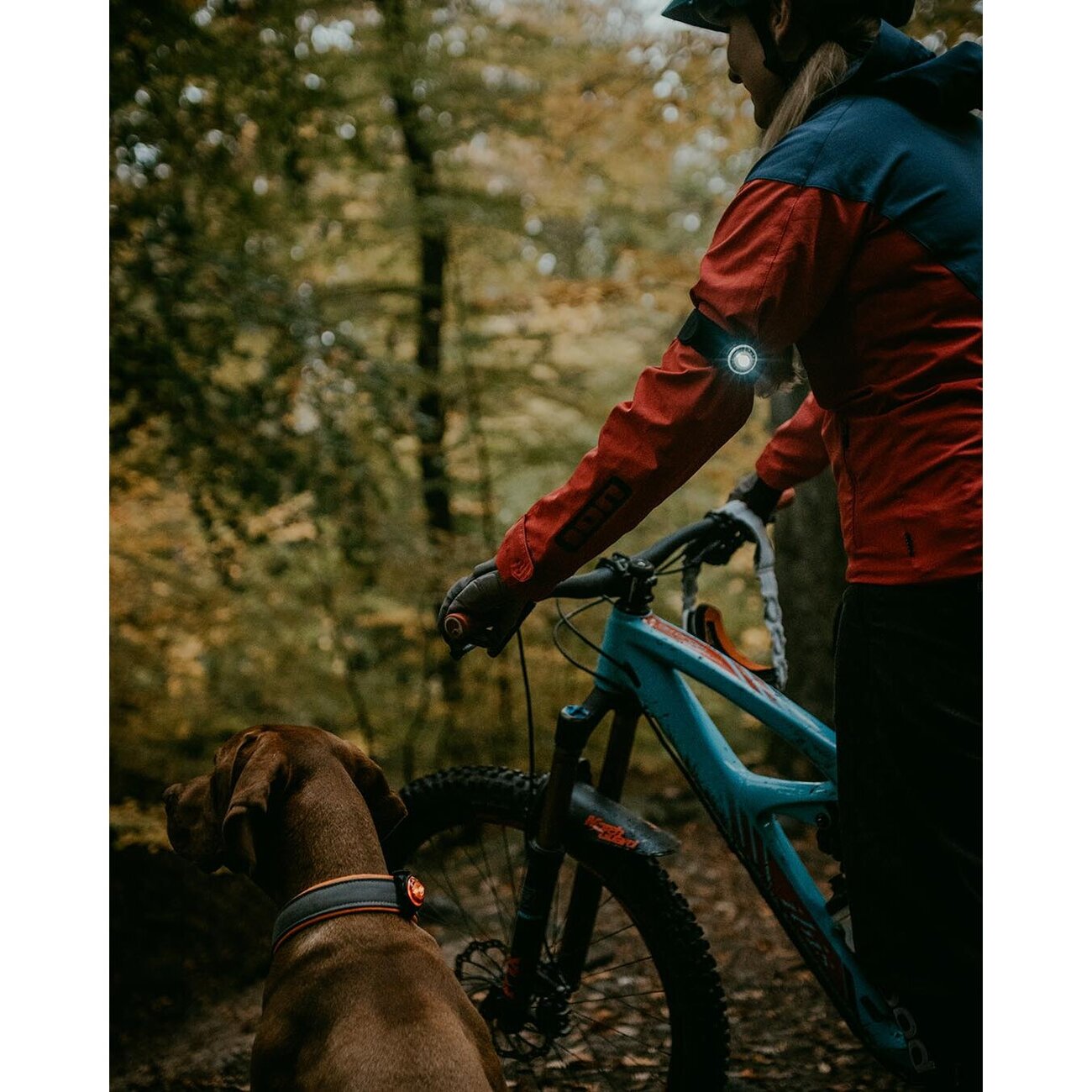 Orbiloc K9 Active Doppelpack Bild 6