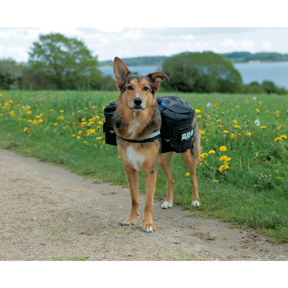 Original Julius K9 Packtaschen für K9 Powergeschirr Bild 2