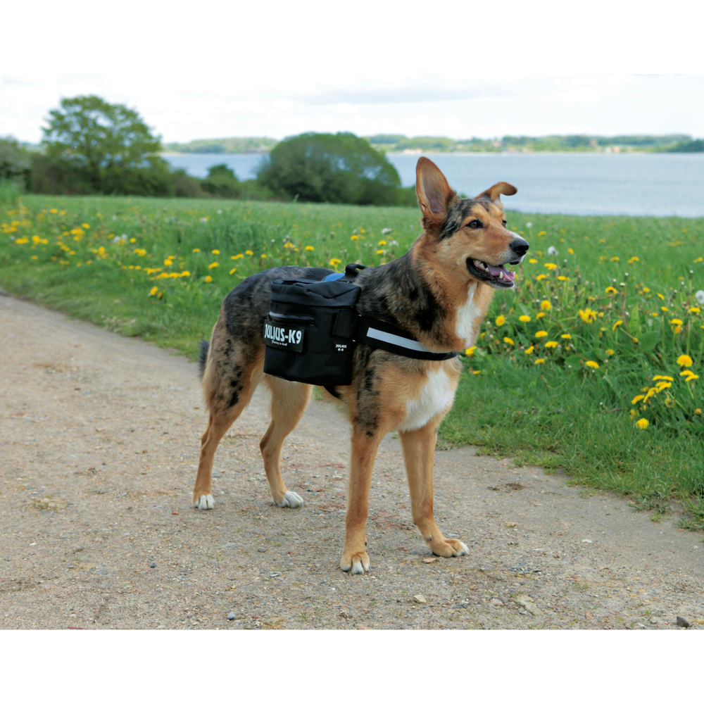 Original Julius K9 Packtaschen für K9 Powergeschirr Bild 3