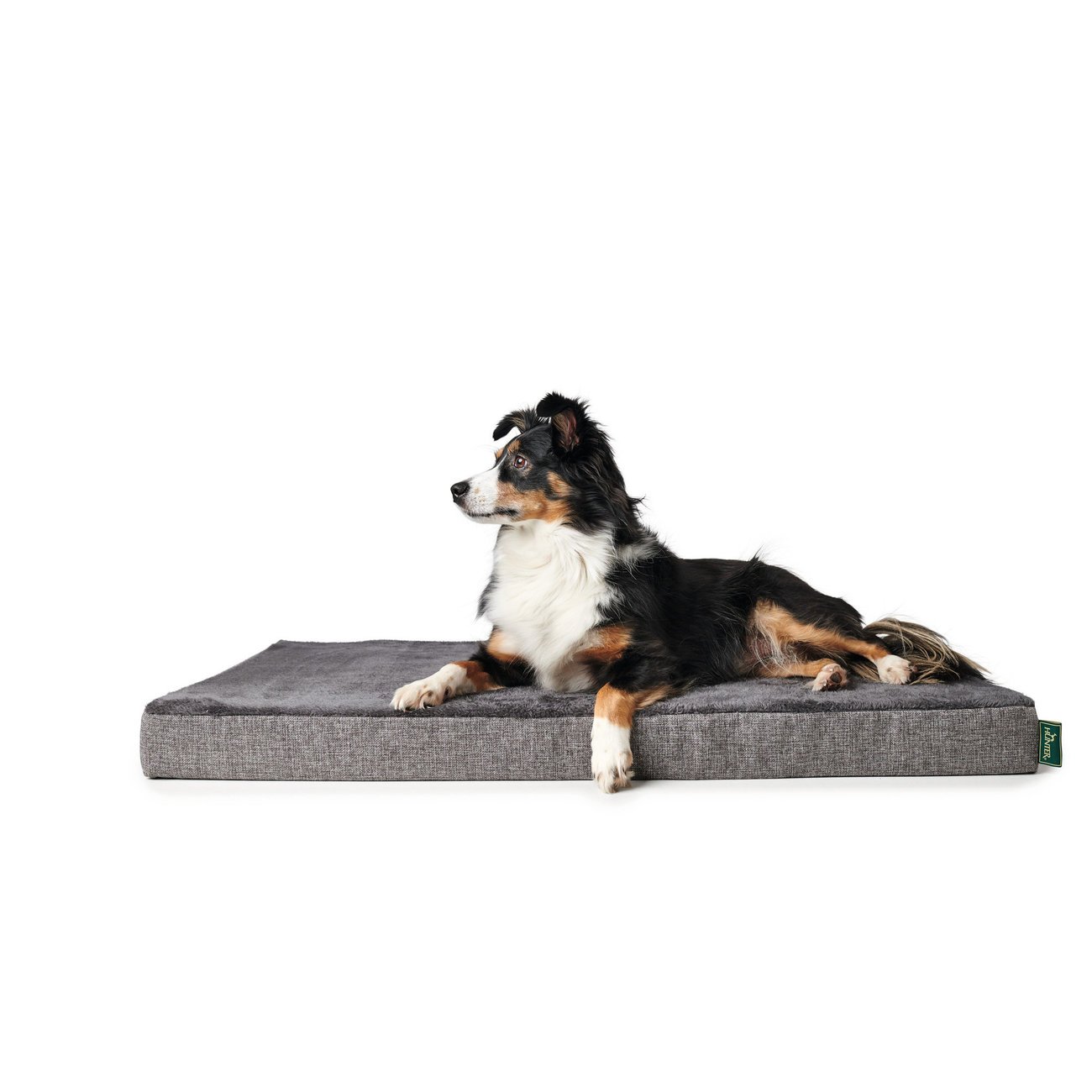 Orthopädische Hundematte Tirano von Hunter Bild 4