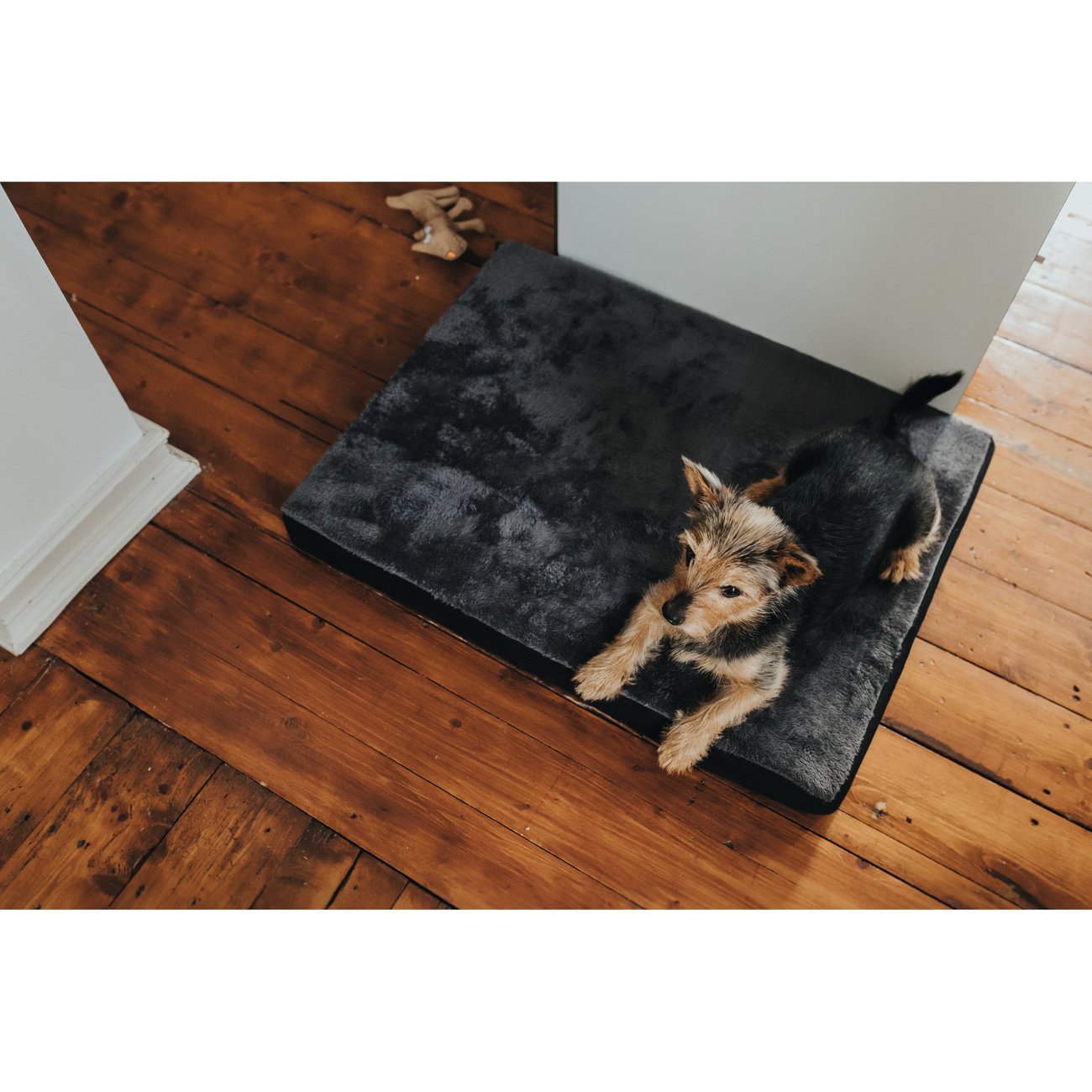 Orthopädische Hundematte Tirano von Hunter Bild 5