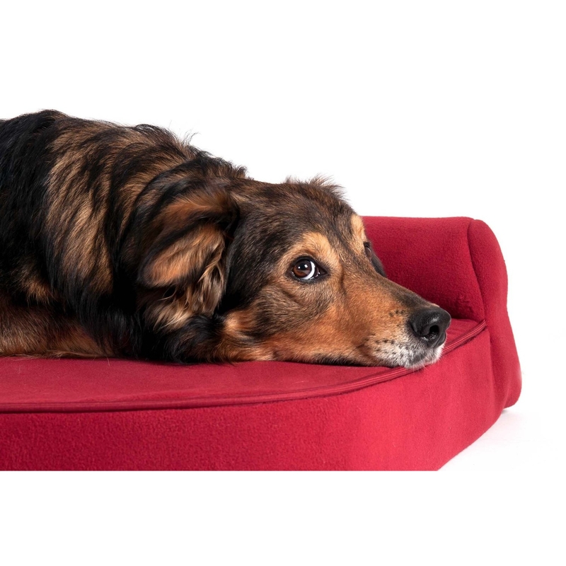 Orthopädisches Hundebett Ortho Visco Bild 5