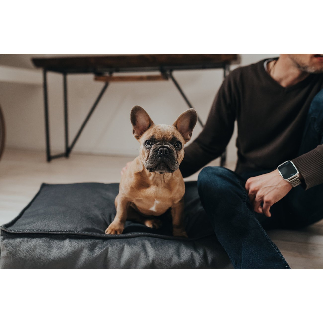 Orthopädisches Hundekissen Merida von Hunter Bild 5