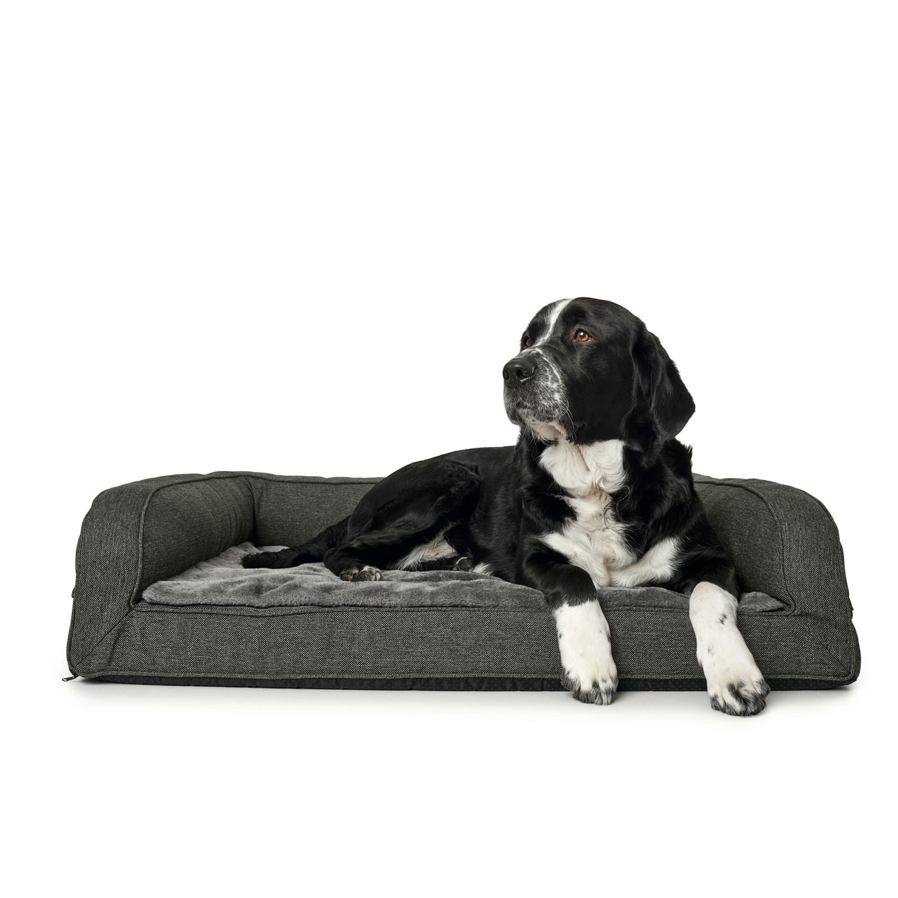 Orthopädisches Hundesofa Livingston von Hunter Bild 14