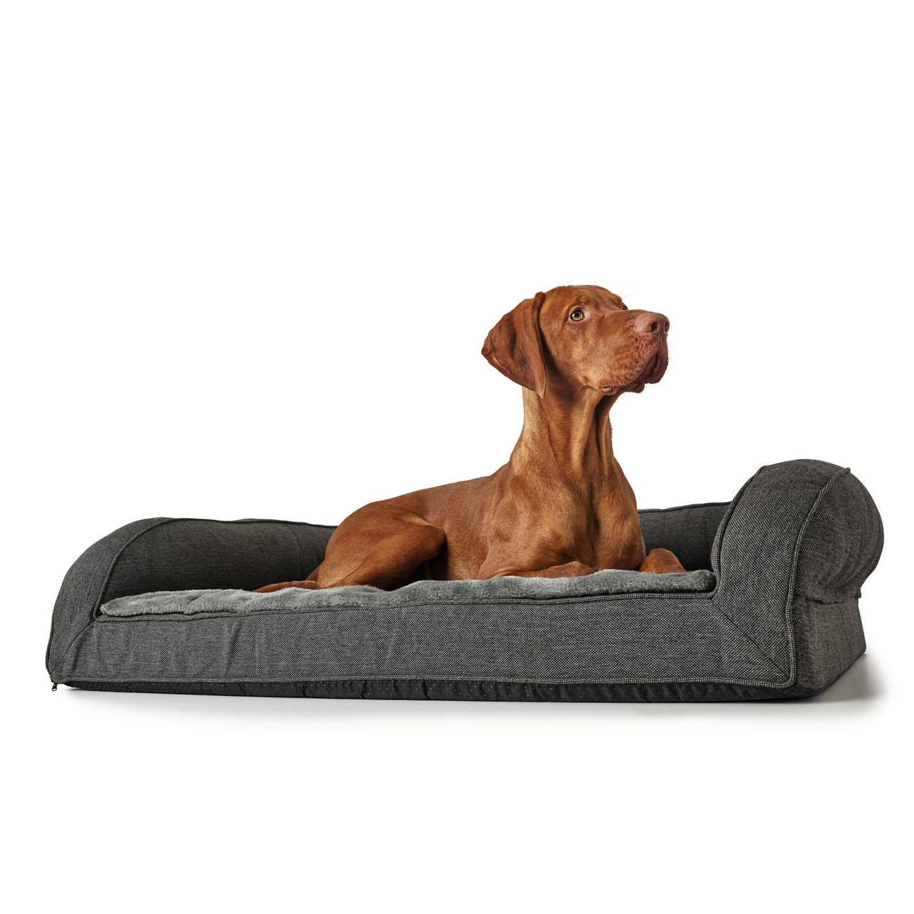 Orthopädisches Hundesofa Livingston von Hunter Bild 17