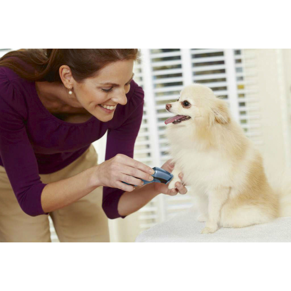 Oster Kabelloser Mini Trimmer Bild 4