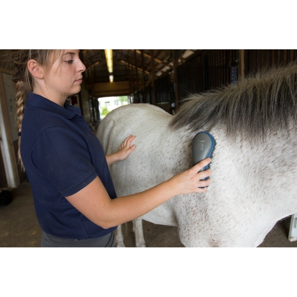 Oster Pferdepflege Set Bild 11