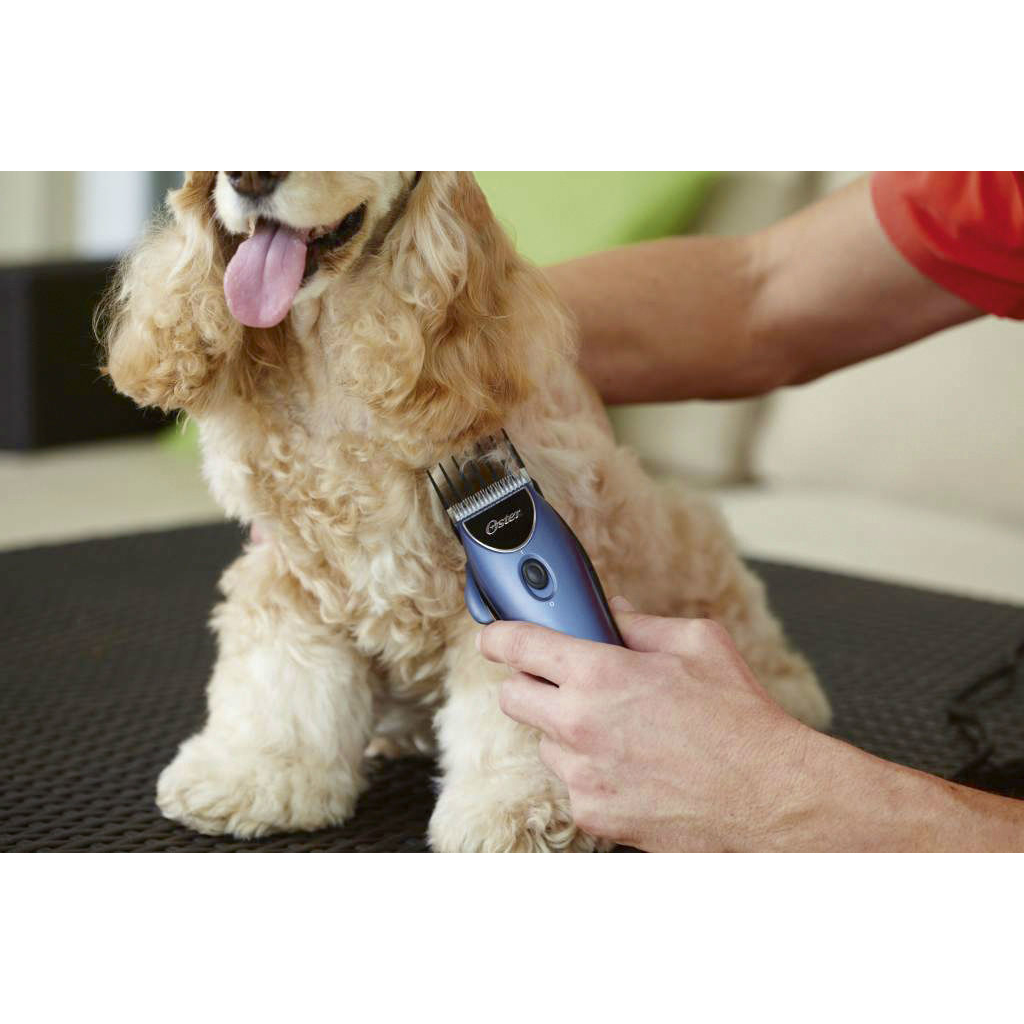 Oster Schermaschinen Set 1897 Bild 4