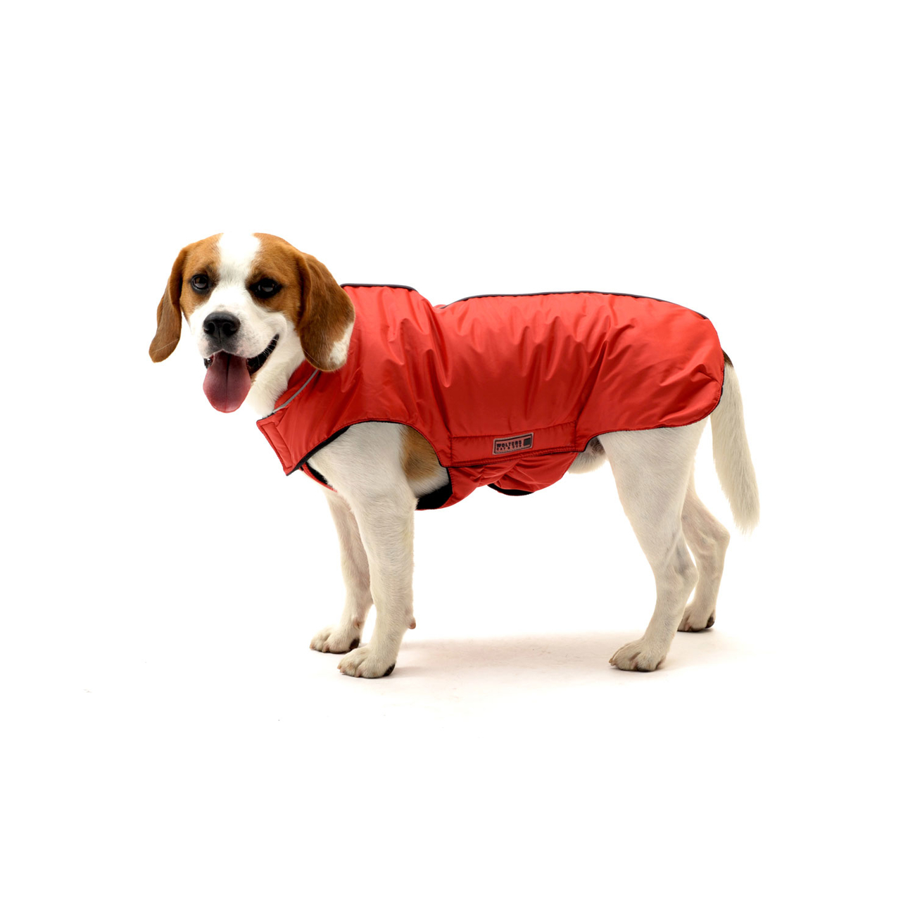 Outdoorjacke Jack für Hunde Bild 7