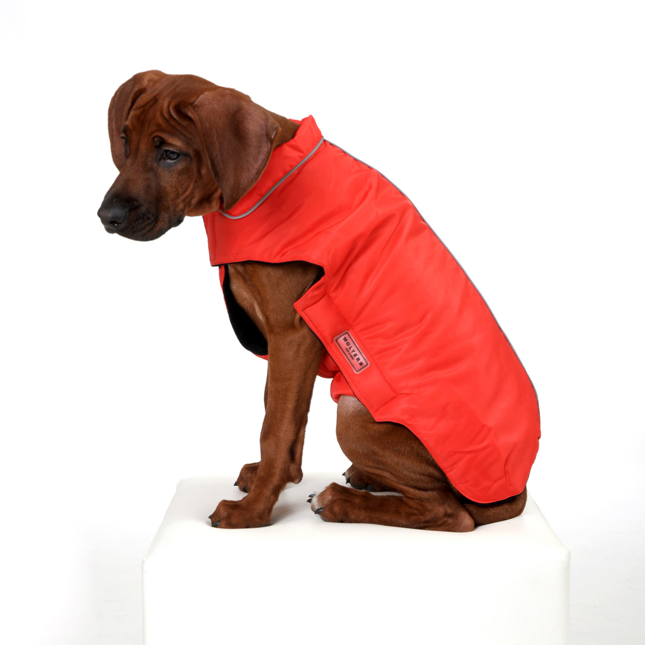 Outdoorjacke Jack für Hunde Bild 8