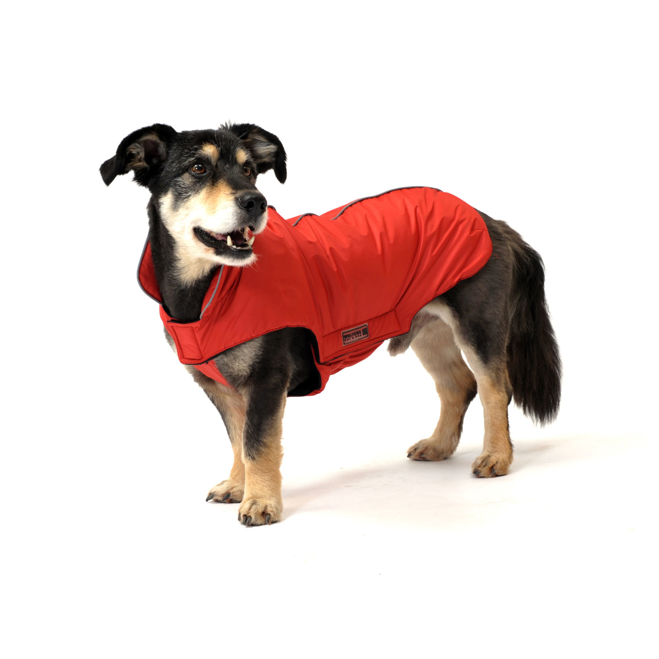 Outdoorjacke Jack für Hunde Bild 9