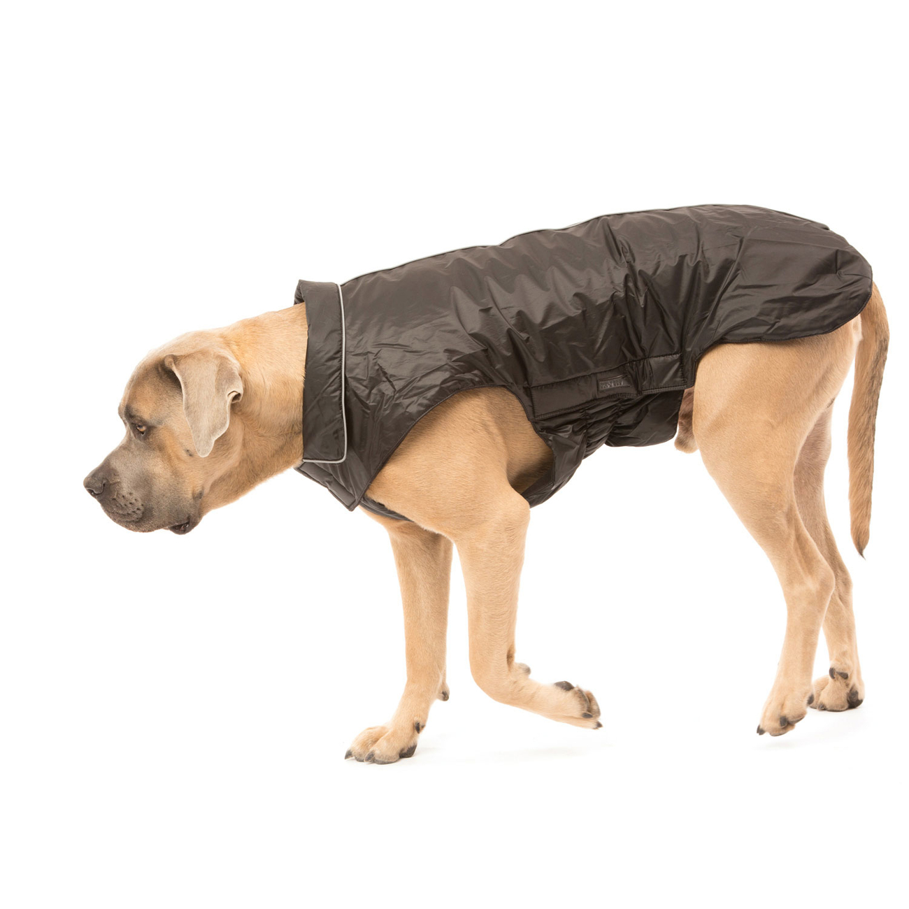 Outdoorjacke Jack für Hunde Bild 10