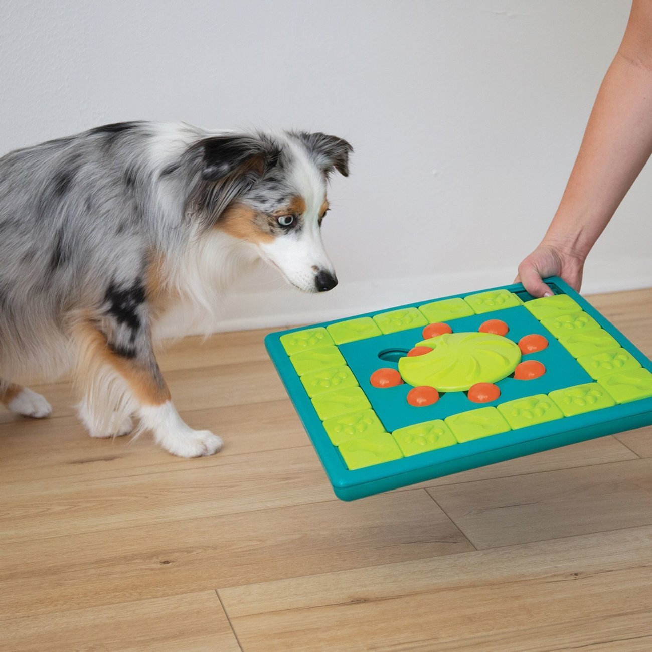 Multi Puzzle Intelligenzspielzeug Bild 6