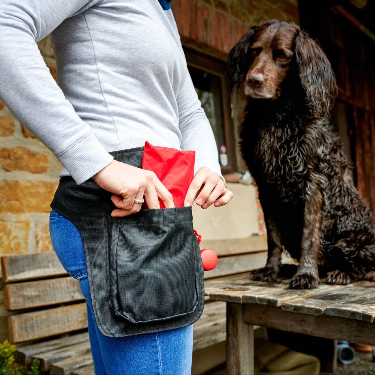 bandee: pouch+ Hüfttasche Hundehalter Bild 2