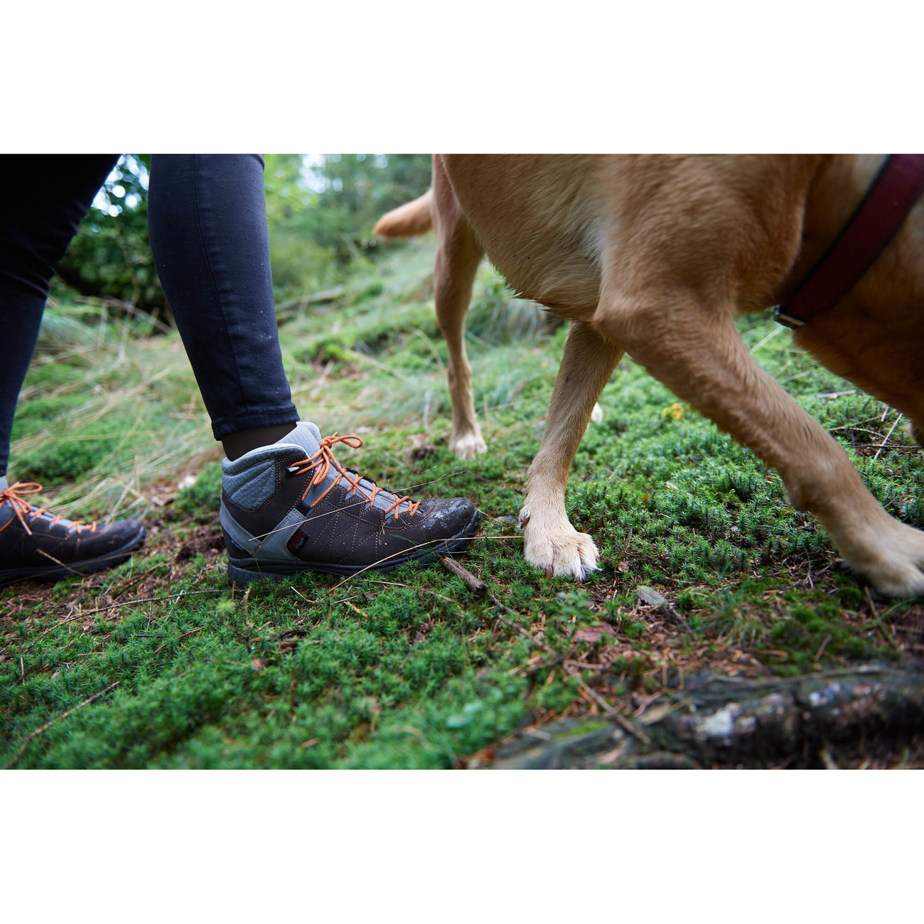 Owney Outdoor Stiefel Balto high Bild 2