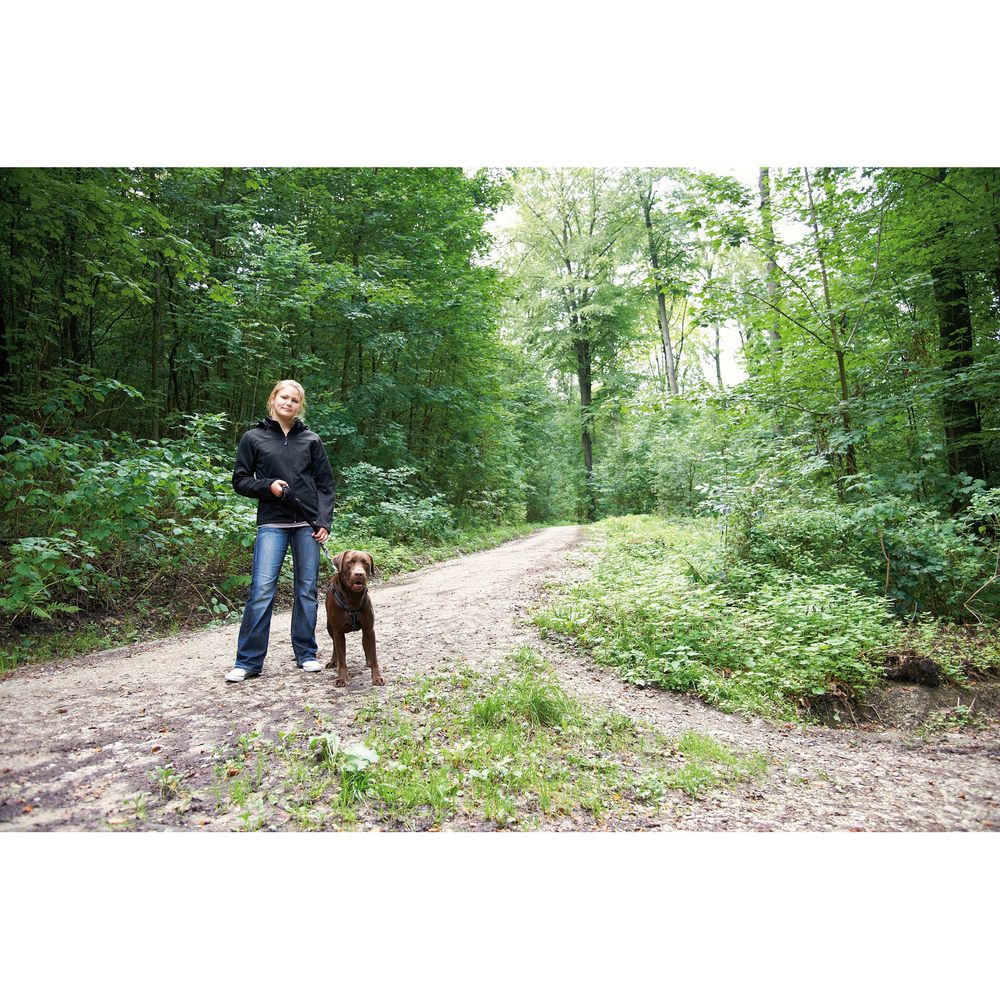 Owney Softshell-Jacke Anuri Hood für Damen Bild 3