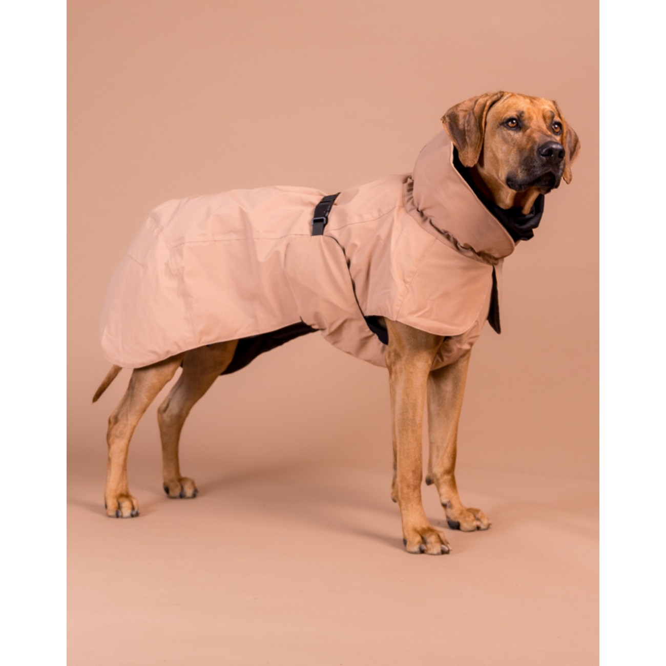 Hochreflektierender Hundewintermantel Wool Taupe Bild 2