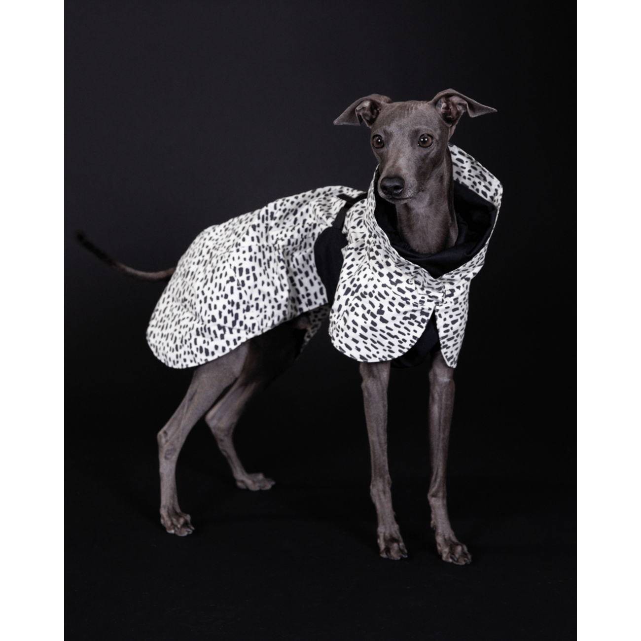 PAIKKA Raincoat 2.0 – Reflektierender Regenmantel für Hunde Bild 4