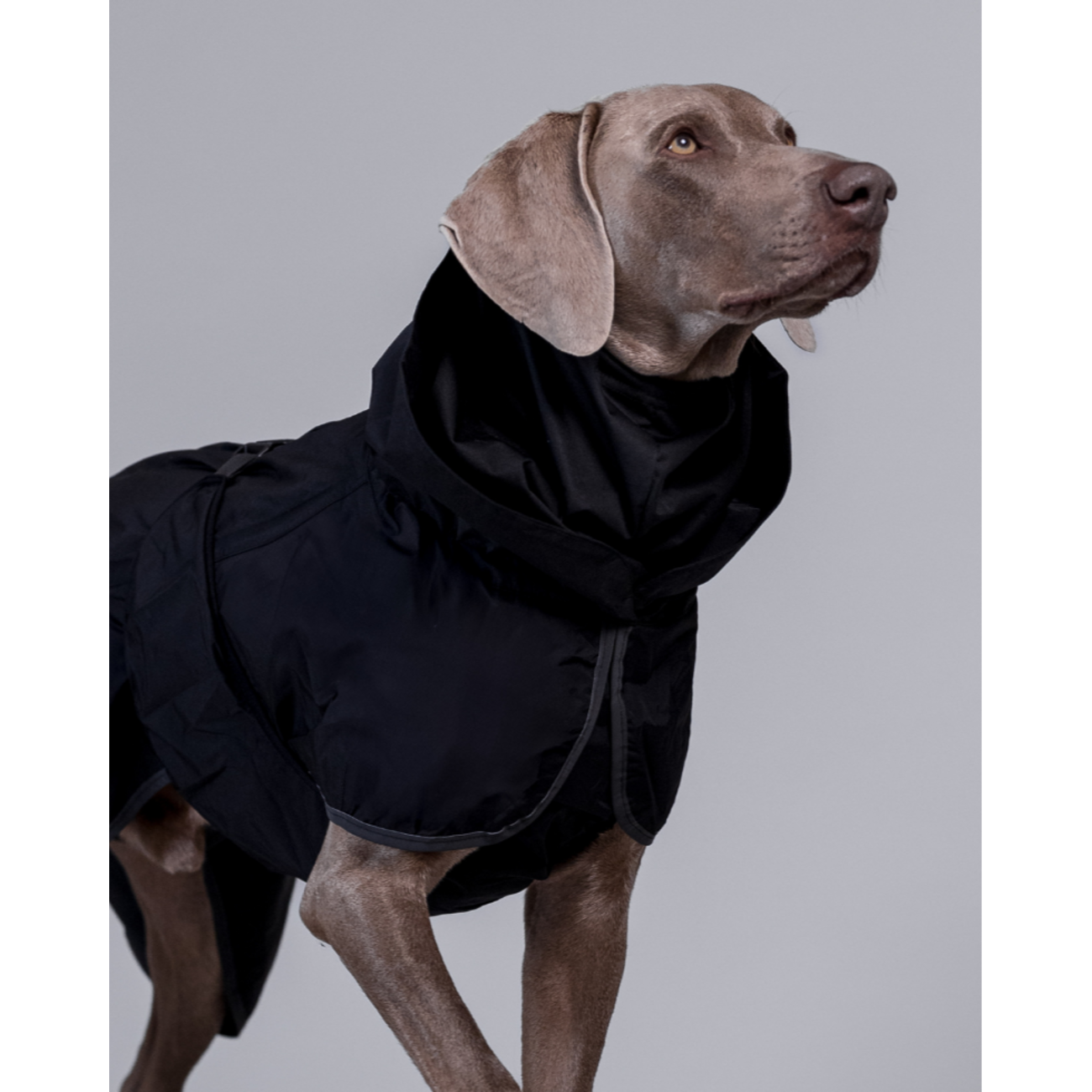 PAIKKA Recovery Regenmantel Lite schwarz | Ultraleicht & Wasserdicht mit FIR-Technologie Bild 1