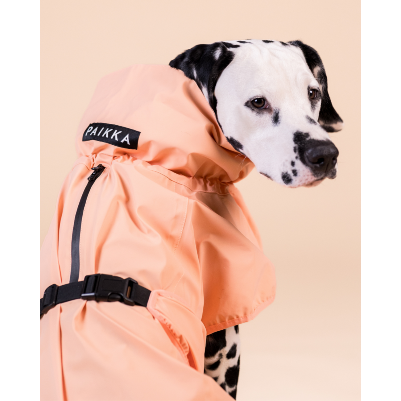 PAIKKA Reflective Raincoat Peach – Reflektierender Hunderegenmantel Bild 7
